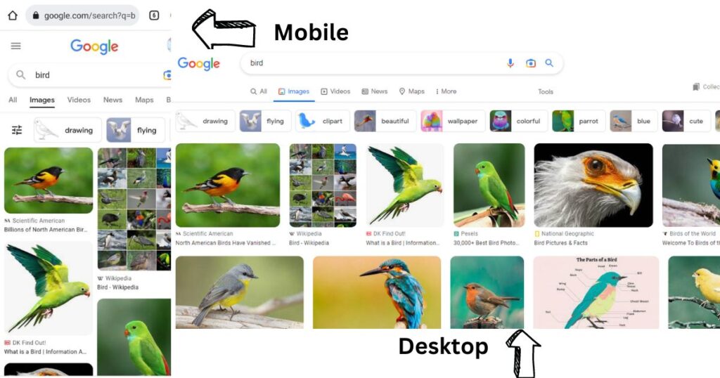 Google से Full HD Photos कैसे डाउनलोड करे ?